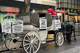 Horse-drawn carriages banned in the CBD